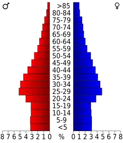 Bevolkingspiramide Hudson County