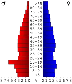 Bevolkingspiramide Irwin County