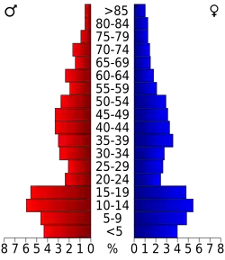 Bevolkingspiramide Jackson County