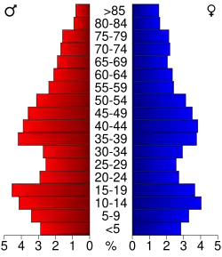 Bevolkingspiramide Jasper County