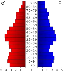 Bevolkingspiramide Jasper County