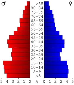 Bevolkingspiramide Jerome County