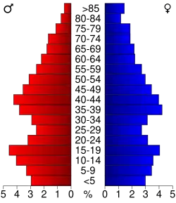 Bevolkingspiramide Jersey County