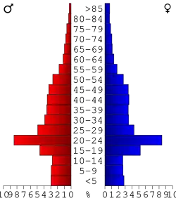 Bevolkingspiramide Johnson County