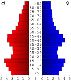 Bevolkingspiramide Kandiyohi County