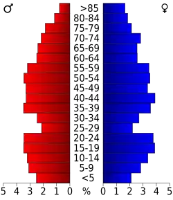 Bevolkingspiramide Kent County