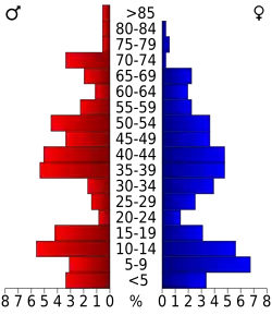 Bevolkingspiramide King County