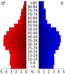 Bevolkingspiramide King County