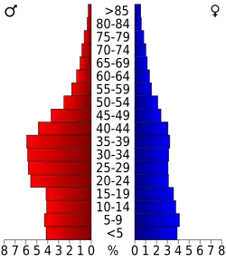 Bevolkingspiramide Kings County