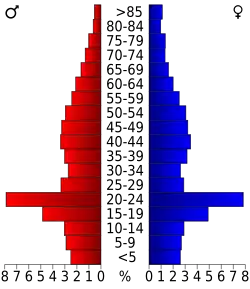 Bevolkingspiramide Kittitas County