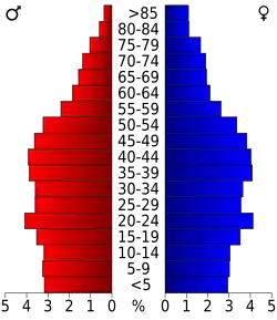 Bevolkingspiramide Knox County