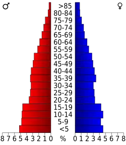 Bevolkingspiramide LaGrange County