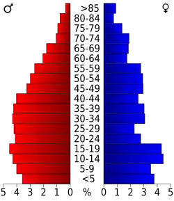 Bevolkingspiramide La Salle County