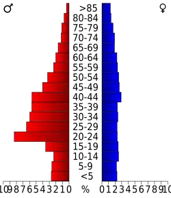 Bevolkingspiramide Lake County
