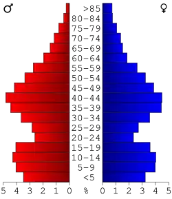 Bevolkingspiramide Lapeer County
