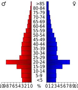 Bevolkingspiramide Lee County