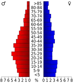 Bevolkingspiramide Lee County