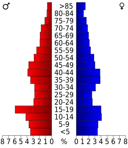 Bevolkingspiramide Lee County
