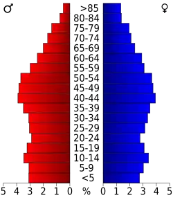 Bevolkingspiramide Lee County