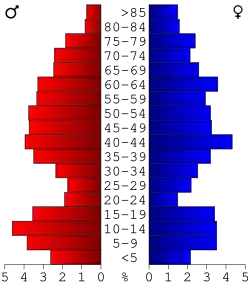 Bevolkingspiramide Lewis County