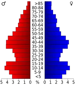 Bevolkingspiramide Lewis County