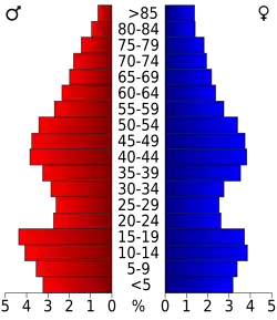 Bevolkingspiramide Lewis County