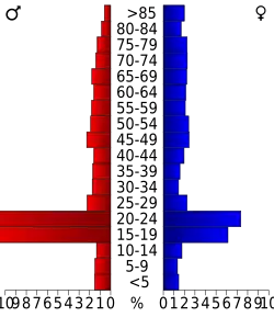 Bevolkingspiramide Lexington