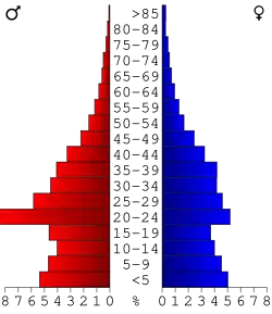 Bevolkingspiramide Liberty County