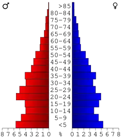 Bevolkingspiramide Long County