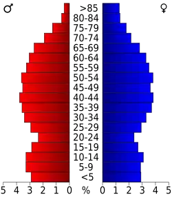 Bevolkingspiramide Loudon County