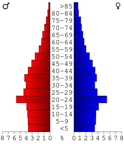 Bevolkingspiramide Lowndes County