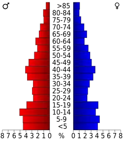 Bevolkingspiramide Lyman County