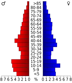 Bevolkingspiramide Lynn County