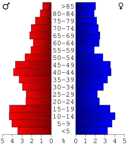 Bevolkingspiramide Lyon County