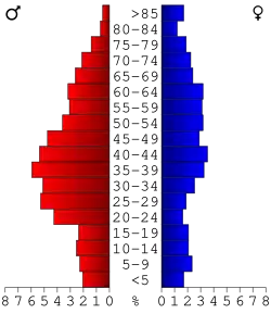Bevolkingspiramide Lyon County