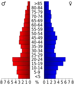 Bevolkingspiramide Macon County
