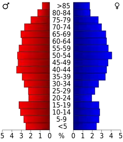 Bevolkingspiramide Macon County