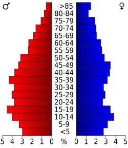 Bevolkingspiramide Madison County