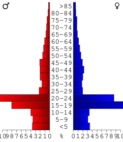 Bevolkingspiramide Madison County