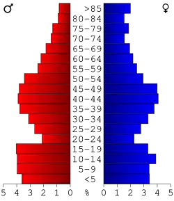 Bevolkingspiramide Madison County