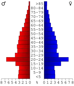 Bevolkingspiramide Madison County