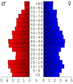 Bevolkingspiramide Madison County