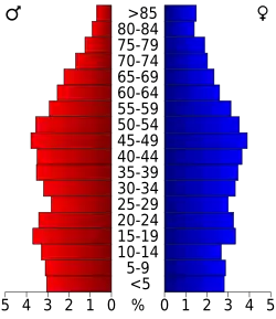 Bevolkingspiramide Madison County