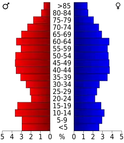 Bevolkingspiramide Marion County