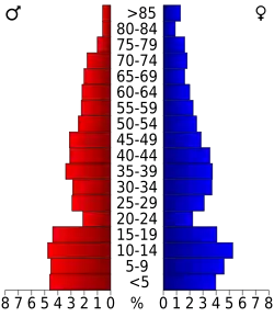 Bevolkingspiramide Martin County