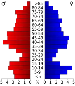 Bevolkingspiramide McCone County