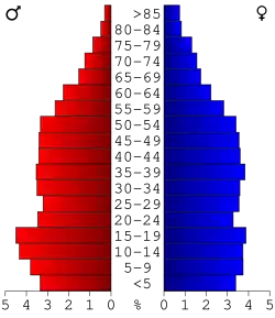 Bevolkingspiramide McCreary County
