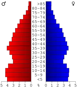 Bevolkingspiramide McDonald County