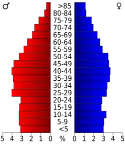 Bevolkingspiramide McDowell County