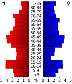 Bevolkingspiramide McHenry County